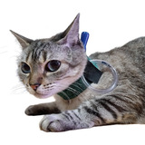 Colar Contenção P/ Sonda Esofagica Gastrica Cão Gato Tam 01