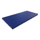 Ginastica