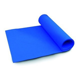 Colchonete De Yoga Mat Ginastica Pilates Ioga C Alça Tapete 