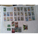 Coleção Completa Cards Speed Race Petrobras. Ler Desc