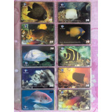 Coleção De Cartões Telefônicos Raros - Série Peixes 