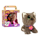 Coleção Pelúcia Adota Pets Scott Com Acessórios Multikids