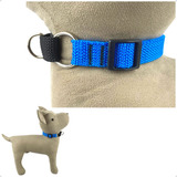 Cão
