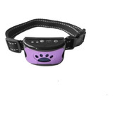 Violeta