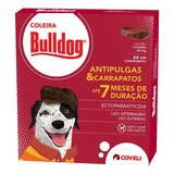 Cães