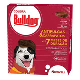 Cães