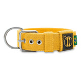 Coleira Cachorro Grande Pit Bull Rottweiler Labrador - Fit Cor Amarelo Tamanho Da Coleira P