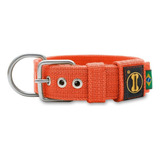 Coleira Cachorro Grande Pit Bull Rottweiler Labrador - Fit Cor Laranja Tamanho Da Coleira Xg