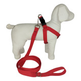 Coleira Cachorro Peitoral Guia Shitzu Pug Poodle E Buldogue