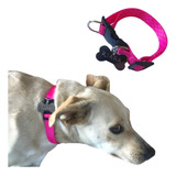 Coleira Cachorro + Tag De Identificação Gravada (placa Pet)