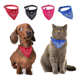 Coleira De Couro Com Bandana Gato Cachorro Pet Porte Pequeno