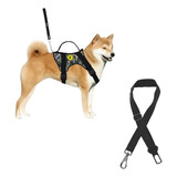 Cães