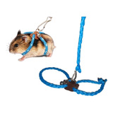 Hamster