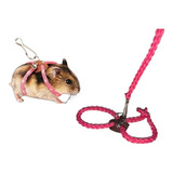 Hamster