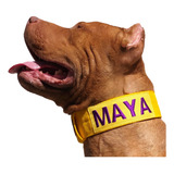 Coleira Personalizada Para Cachorro De Médio E Grande Porte.