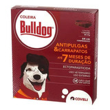 Bulldog