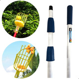 Colhedor De Frutas E Cabo Extensor Aluminio 6 Metros Ameixa