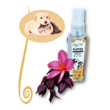 Colônia Para Pets Perfume Cheiroso Ótima