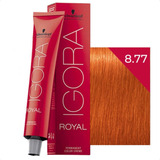 Coloração Ruivo Igora Royal - Escolha A Cor