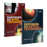 Combo 2 Livros - Panorama Do