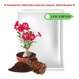 Combo 2 Sacas De Substrato Rosa Do Deserto 14kg - Total 28kg