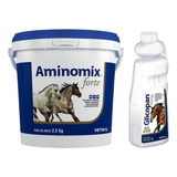 Combo Aminomix Forte 2,5kg + Glicopan