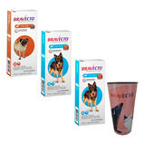  Combo Bravecto Antipulga Carrapato 1 4,5a10kg + 2 20a40kg
