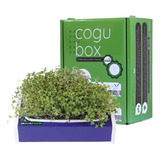 Combo Cogubox & Microverdes