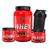 Combo Nutri Whey Protein + Creatina