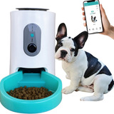 Comedouro Automático Alimentador Inteligente Pet Com