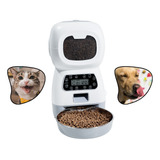 Comedouro Automático Pet Gatos Cães Programável Alimentador