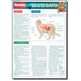 Gato