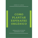 Como Plantar Espinafre Orgânico: Manual De