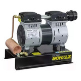 220v