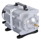 220v
