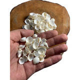 Decoração