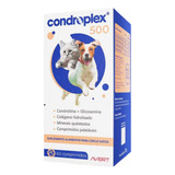 Condroplex 500 Avert 60 Comp Suplemento Cães Gatos Peq. Port