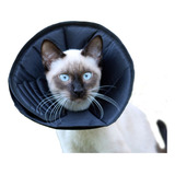 Gatos