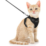 Conjunto Arnês E Trela Para Gato Arreio Colete Para Gato C