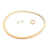 Conjunto De Anéis De Vedação Dosador Cloro Sodramar