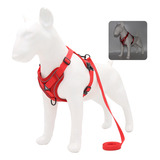 Conjunto De Arnês E Trela Para Cães Sem Puxar Arnês