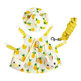 Conjunto De Cinta De Arnês De Colete Para Amarelo