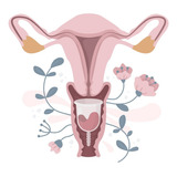 Copo / Coletor Menstrual Ecológico Importado