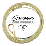 Cinza