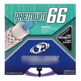 66