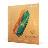 Cordas Para Viola De Arco D'addario