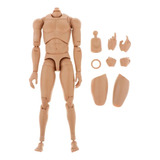Corpo Aticulado Body Truetype P/ Hot Toys 1/6