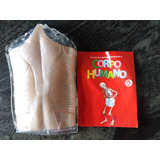 Corpo Humano Fasciculo 40 - Novo Lacrado Com A Peça - Rba