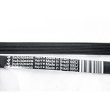 Correia Esteira Rt250 G2 Movement Pj 995