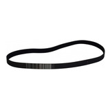 Correia Motor Esteira Movement 250g1 150g2 E 250g2 Rt 200